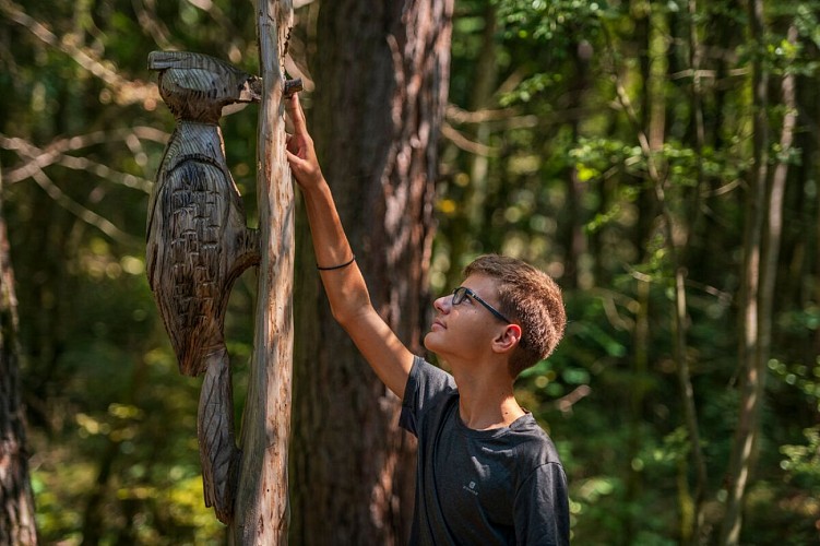 Foret Sport Natuur & Gezondheid