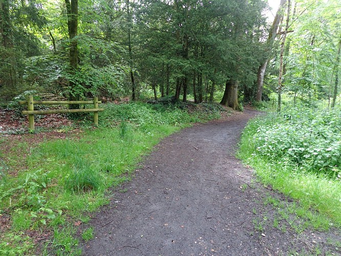 BR1®FFRandonnée Ille et Vilaine 3