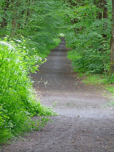 BR1®FFRandonnée Ille et Vilaine 2