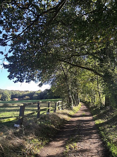 CHEMIN abbaye saint arnoult