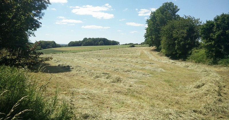 Lachapelle - vers marnière