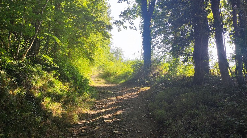 Villers et le Dolmen de la Pierre aux Fées