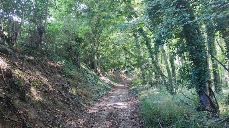Villers et le Dolmen de la Pierre aux Fées