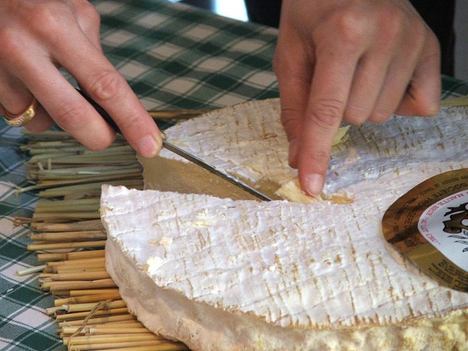 Découpe du Brie de Coulommiers