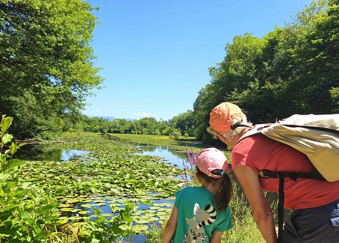 Malseroud pond_Les Abrets en Dauphiné