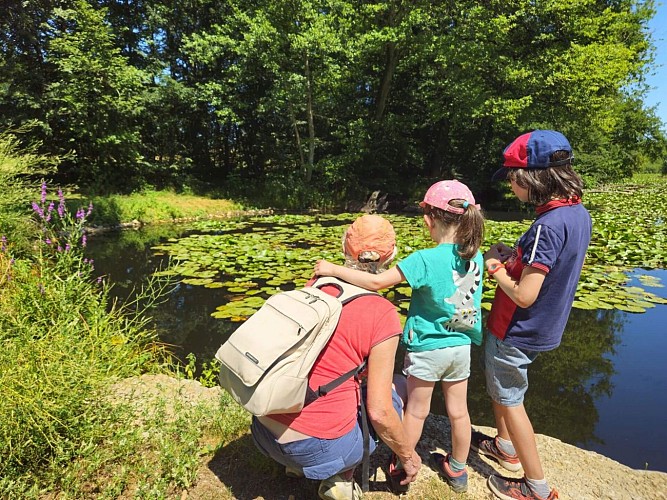 Malseroud pond_Les Abrets en Dauphiné