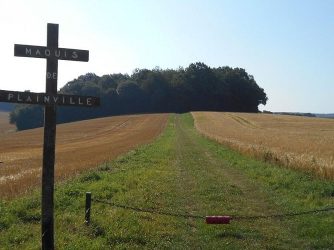 Autour du maquis de Plainville