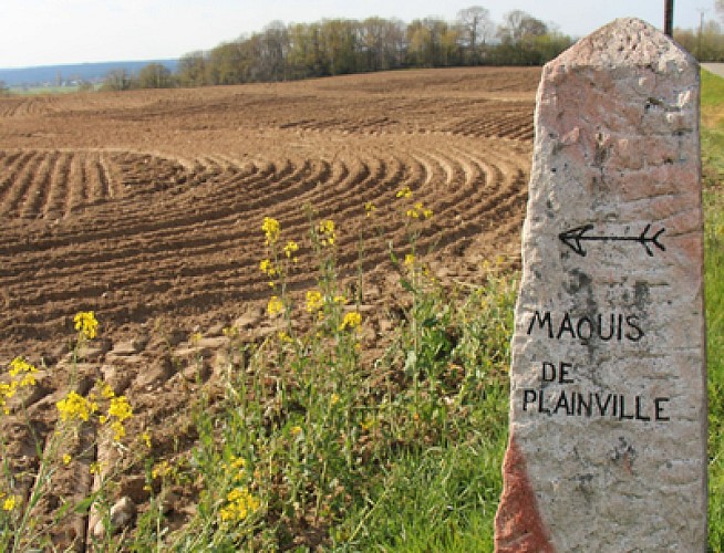 Autour du maquis de Plainville