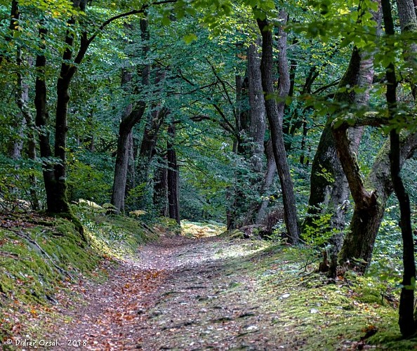 Les horizons de la vallée de l'Eure