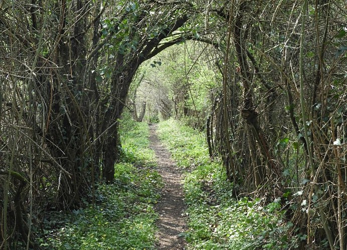 La vallée de la Vinette