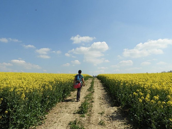La vallée de la Vinette