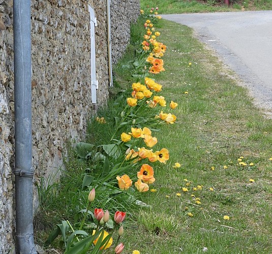 La vallée de la Vinette
