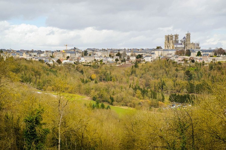 La Cathédrale de Laon_V.colin