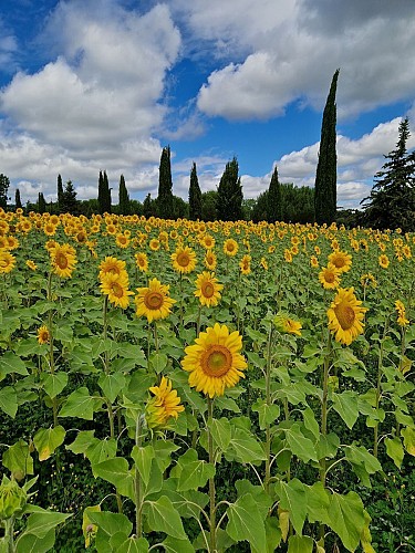 La vallée de la Baise