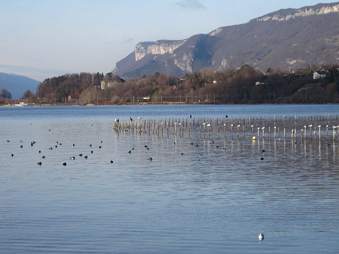 Comfortabele wandeling: Langs het water