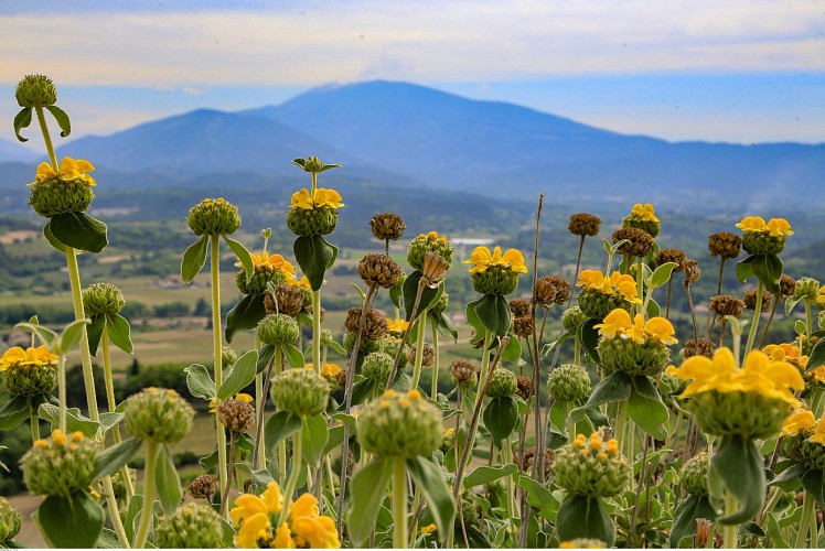 VTT n°18 - Grand Alizier