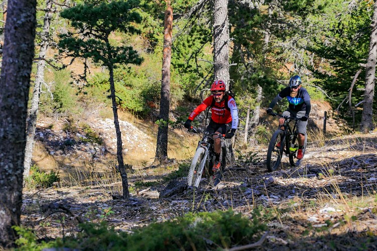 VTT n°3 - Chalet Reynard