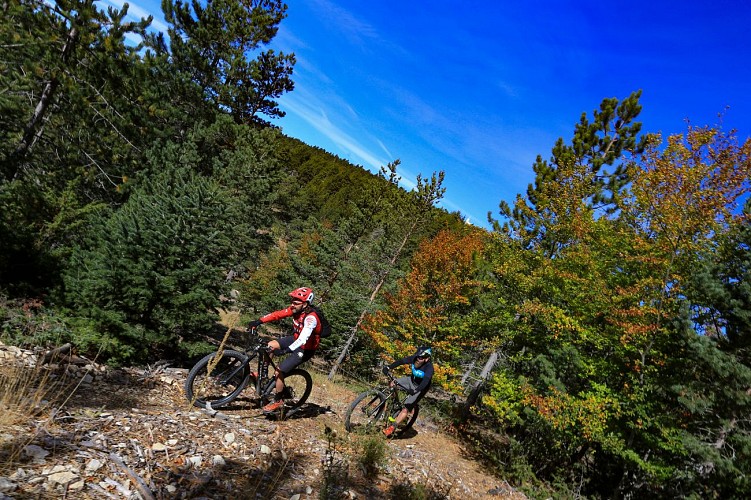 VTT n°3 - Chalet Reynard