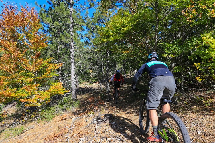 VTT n°3 - Chalet Reynard