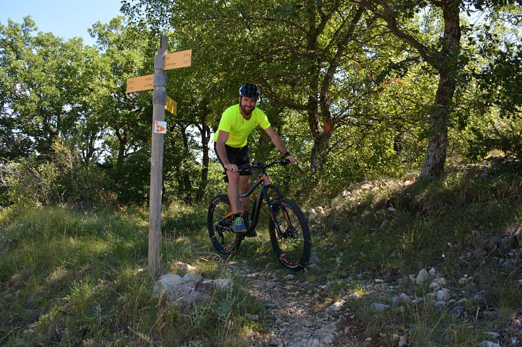 Circuit VTT n°8 - Terre de lavande