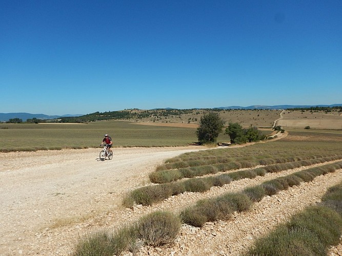 Circuit VTT n°9 - De Sault à Brouville