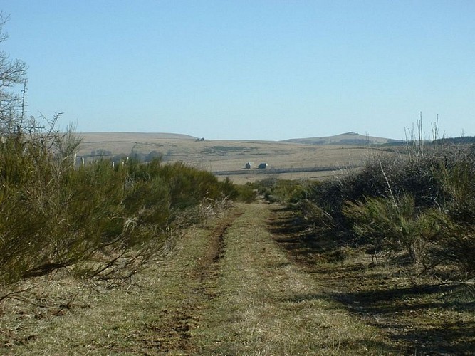 Direction le Puech de Fourque