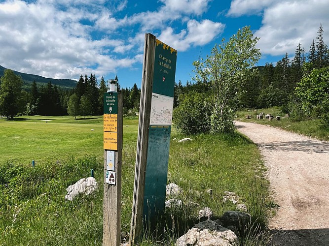 240613-43Le18trous-vert-9