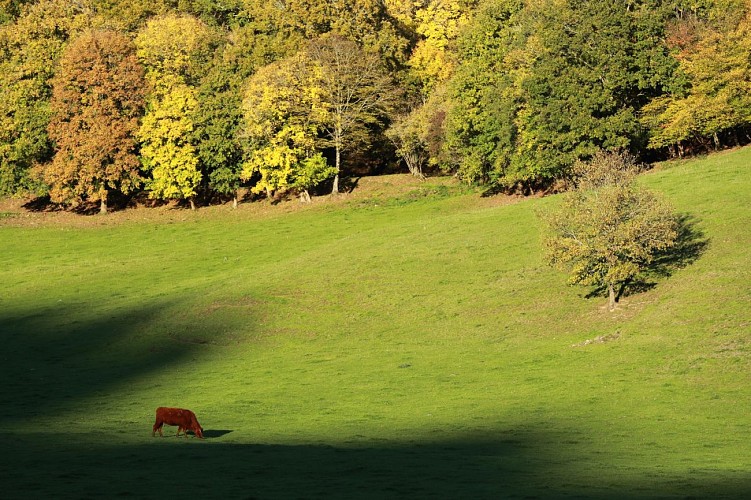 PR 4 - Le lac de Laroche_Champs-sur-Tarentaine-Marchal