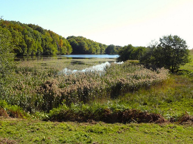 PR 4 - Le lac de Laroche_Champs-sur-Tarentaine-Marchal