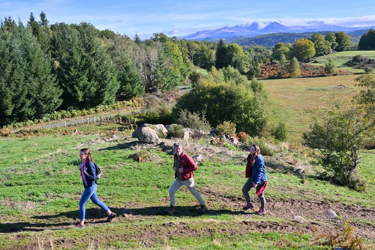PR 4 - Le lac de Laroche_Champs-sur-Tarentaine-Marchal