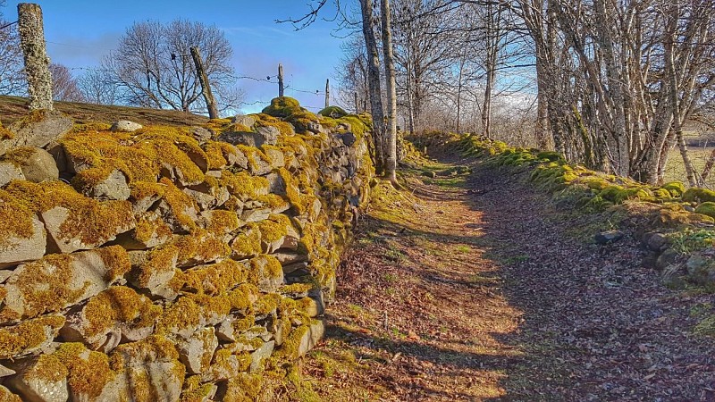 PR 4 - Le lac de Laroche_Champs-sur-Tarentaine-Marchal