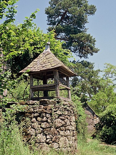 PR 8 - Le Chemin des Chats_Champs-sur-Tarentaine-Marchal