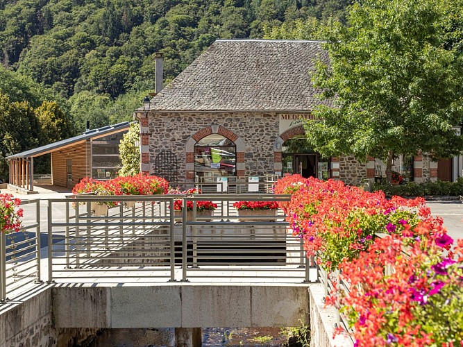 PR 8 - Le Chemin des Chats_Champs-sur-Tarentaine-Marchal