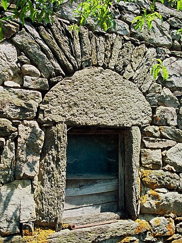 PR 9 - Le Plateau de Fournols_Champs-sur-Tarentaine-Marchal