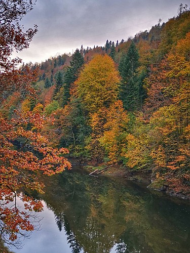 PR 13 - Entre Rhue et Couzans_Vebret