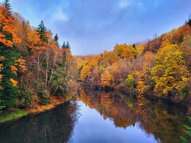 PR 14 - Au coin de la Rhue_Antignac