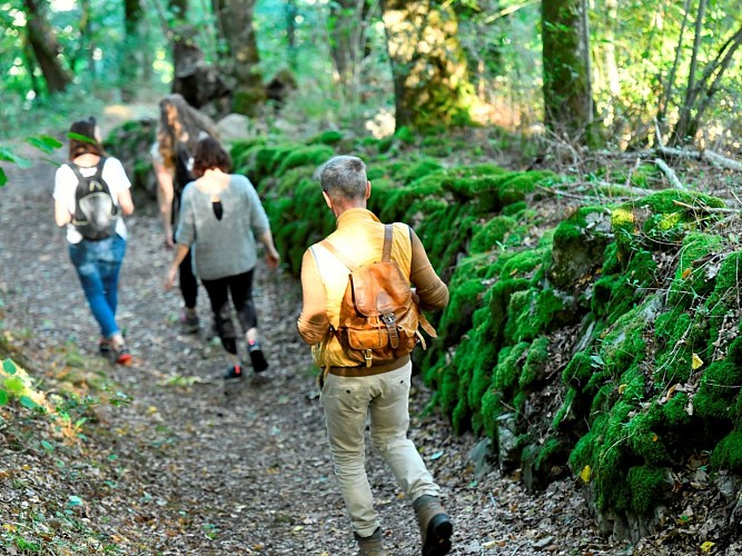 PR 16 - Parfum d'Antan en Muradès_La Monselie