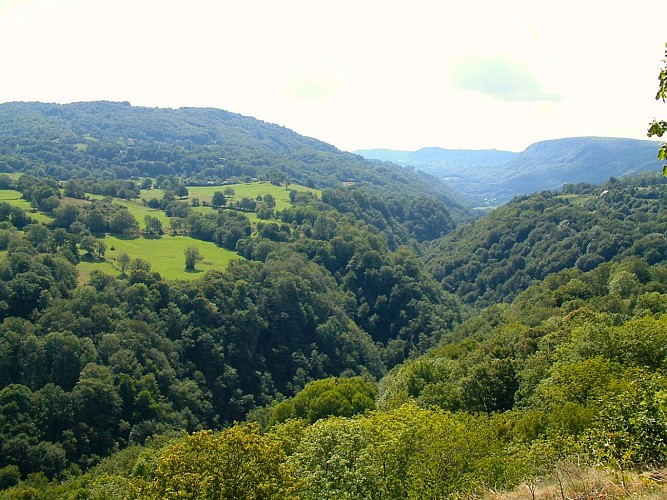 PR 17 - Le bois des Bartes_La Monselie