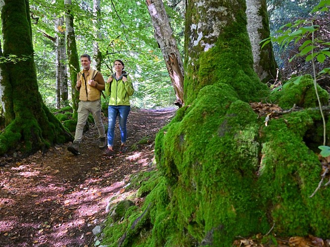 PR 18 - Sur les pas des Cerfs_Le Monteil