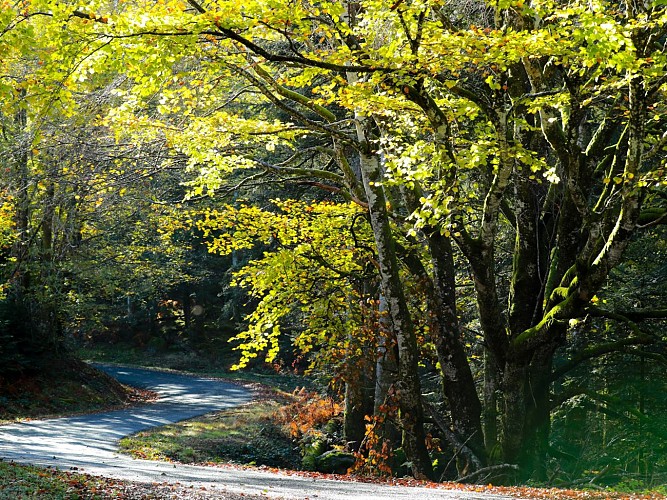 PR 25 - Le Pont de Vernéjoux_Champagnac