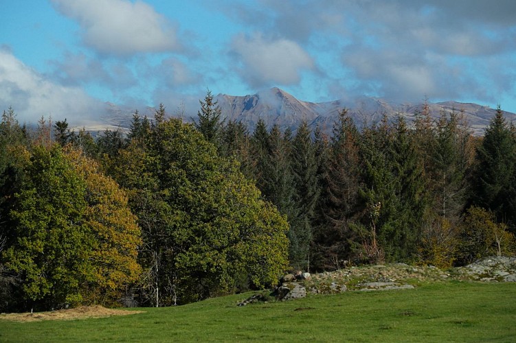VTT 1  : la balade de Marchal_Champs-sur-Tarentaine-Marchal