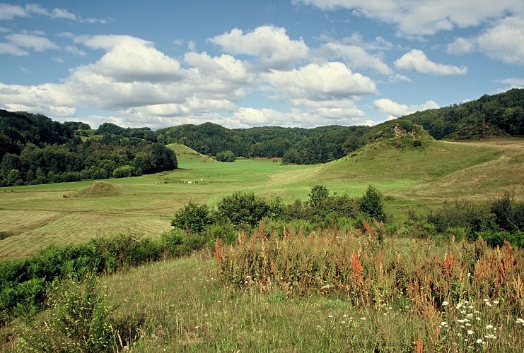 VTT 1  : la balade de Marchal_Champs-sur-Tarentaine-Marchal