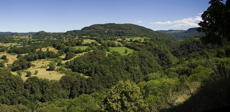 VTT 5 : Un air de Violon_La Monselie