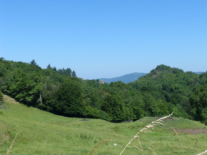 VTT 5 : Un air de Violon_La Monselie