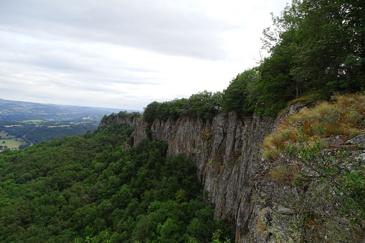 VTT 12 : Les orgues