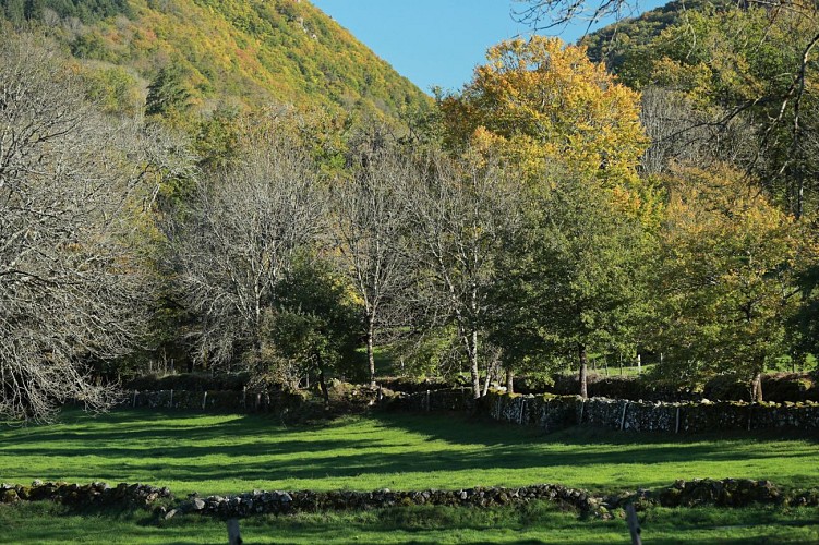 VTT 11 : La Voie Romaine_Bassignac