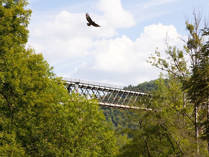 VTT 11 : La Voie Romaine_Bassignac