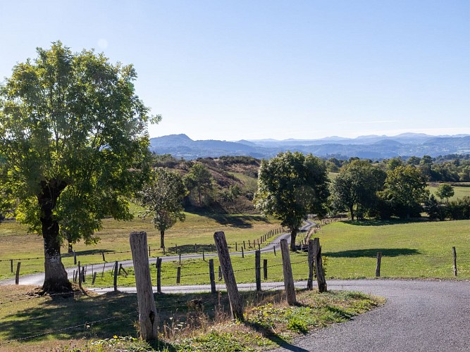 Circuit n° 8 : Granges_Lanobre