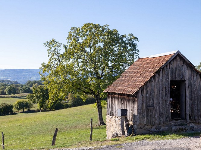 Circuit n° 8 : Granges_Lanobre