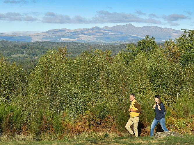 Circuit n° 11 : Le Pied du Fraisse_Lanobre